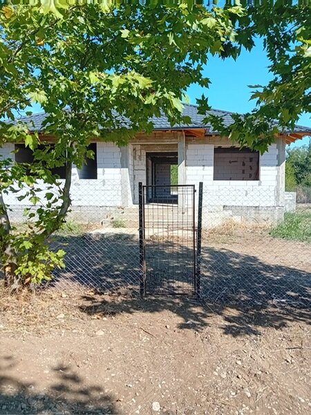 Saftica, Tancabesti.